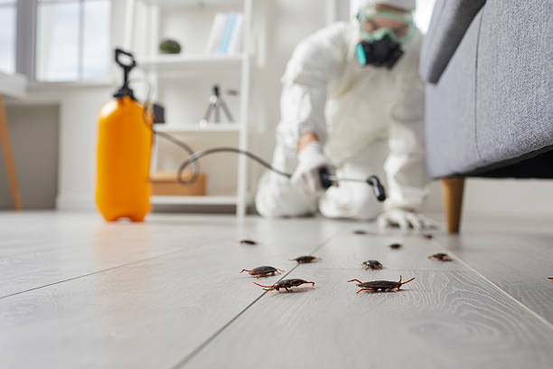 Trusted Fumigation Services service in Marriott-Slaterville, UT - Nex Pest Control